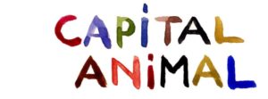 Capital Animal 